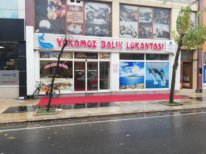 Yakamoz Balıkçılık