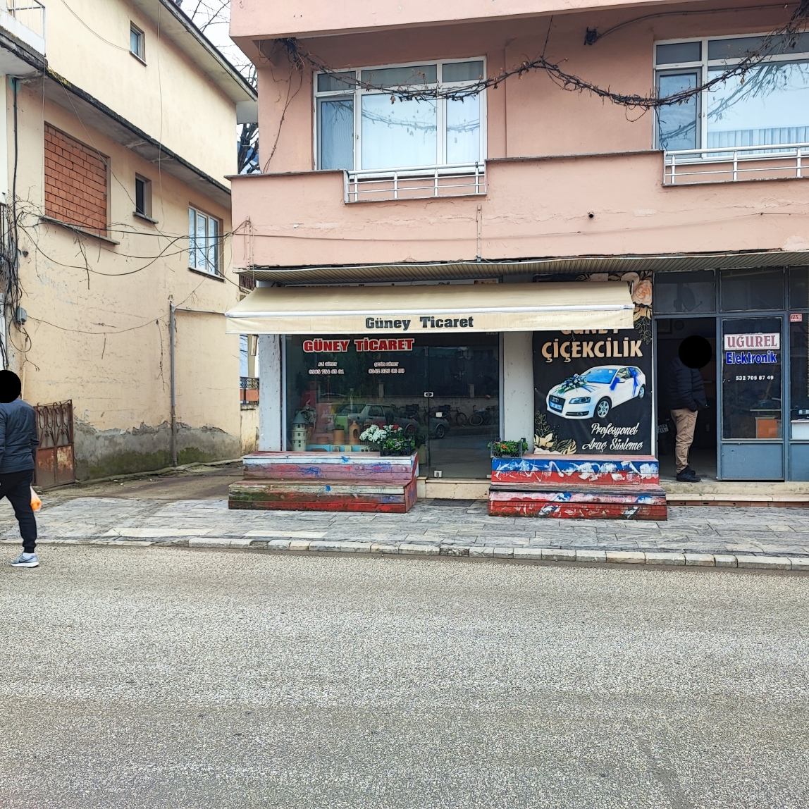 Güney Ticaret
